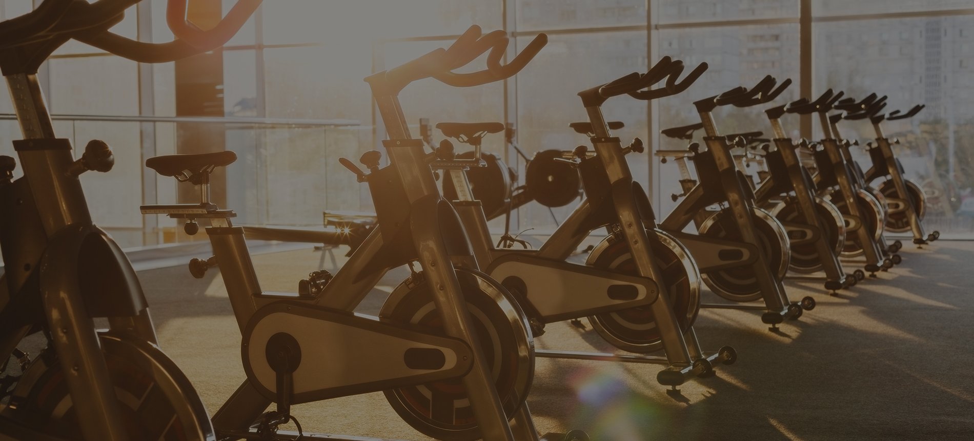 Row of stationary exercise bikes in a gym with warm sunlight streaming through large windows